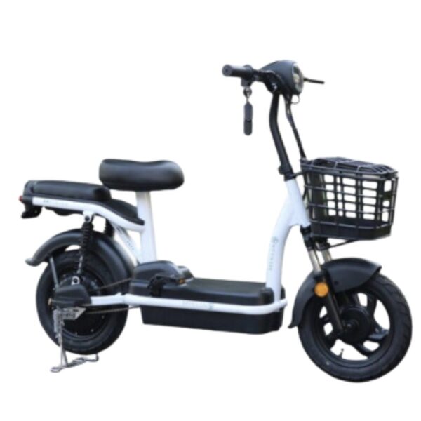 Moped Electrica E-Bike