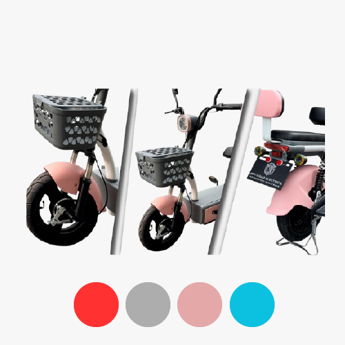 Bicicleta electrica BIKE PLUS