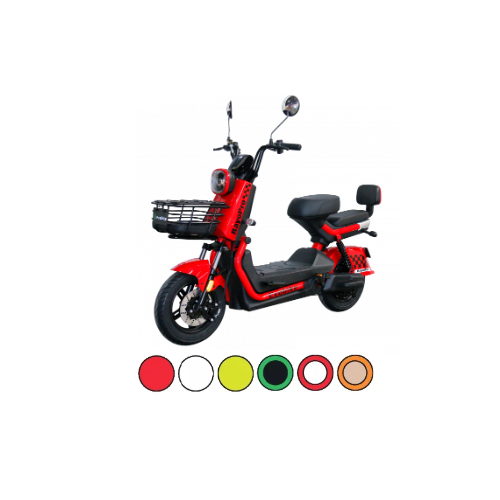 Bicicleta electrica RAYO PRO